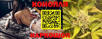 спиды Новодвинск