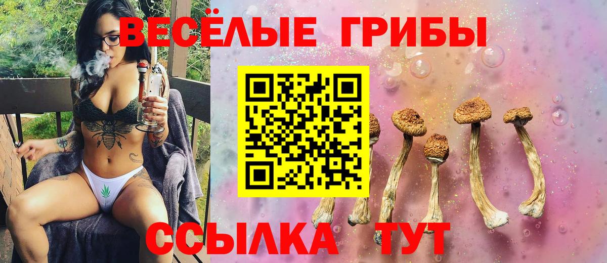 Псилоцибиновые грибы мицелий Сарапул